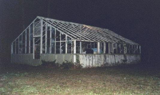 The old greenhouse